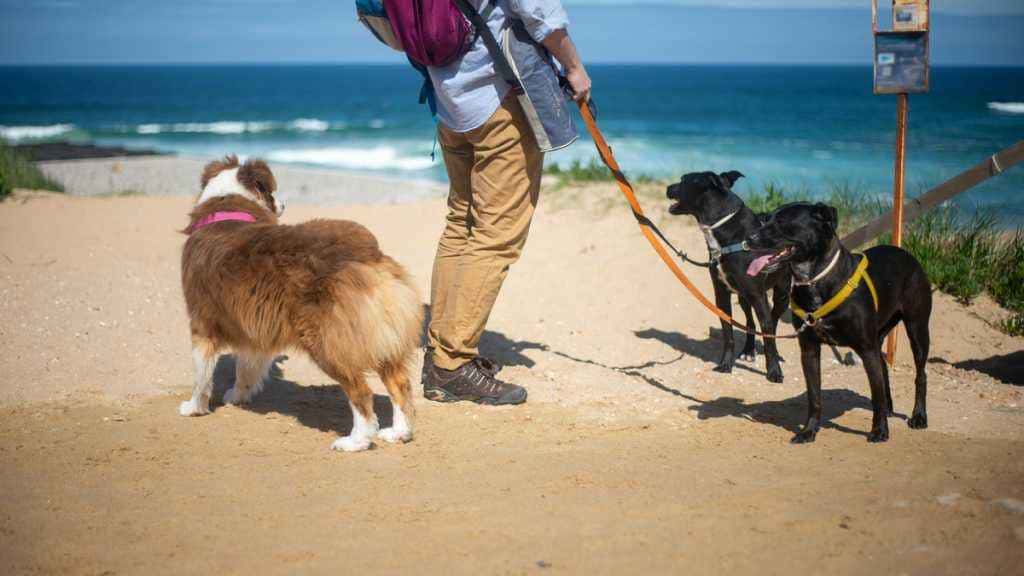 Ideias de negócios lucrativos