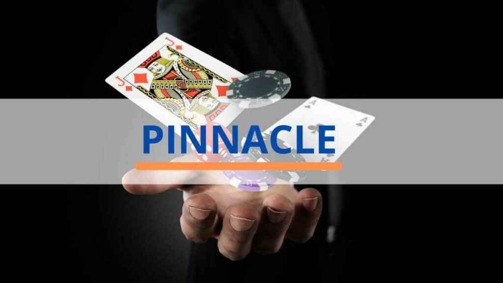 Informações gerais sobre a Pinnacle Informações gerais sobre a Pinnacle