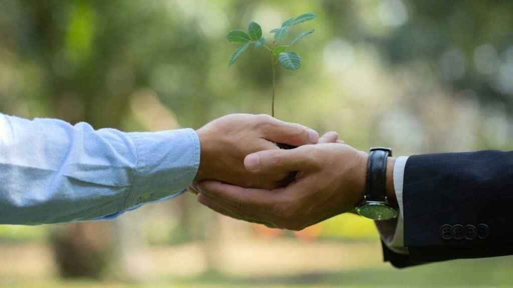 Análise e Redução do Impacto Ambiental da Empresa: Rumo à Sustentabilidade Corporativa Análise e Redução do Impacto Ambiental da Empresa