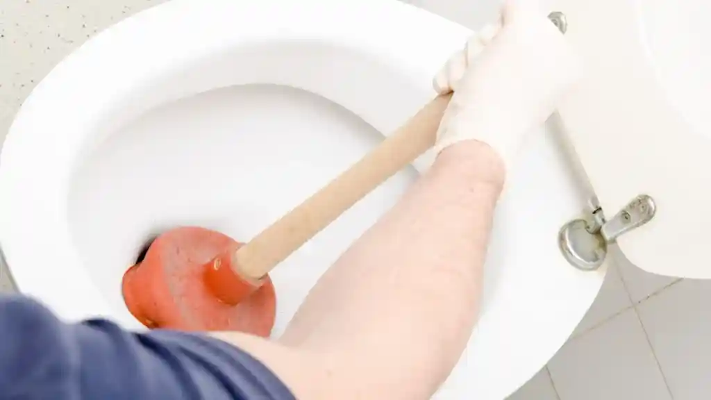 Como divulgar uma desentupidora